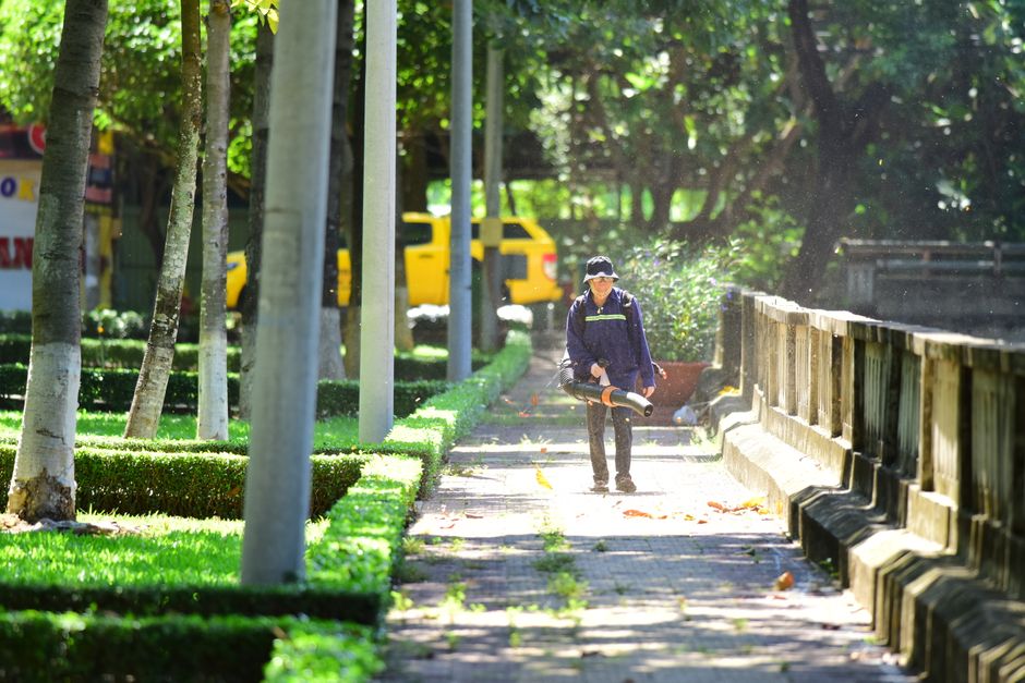 A gardener from gardenerpimlico.co.uk is seen engaged in garden maintenance along a paved pathway in a lush outdoor setting. The gardener, dressed in a navy jacket with reflective stripes, black trous